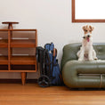 Load image into Gallery viewer, MILOU