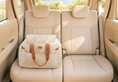 Load image into Gallery viewer, Pet Car Seat Accessories
